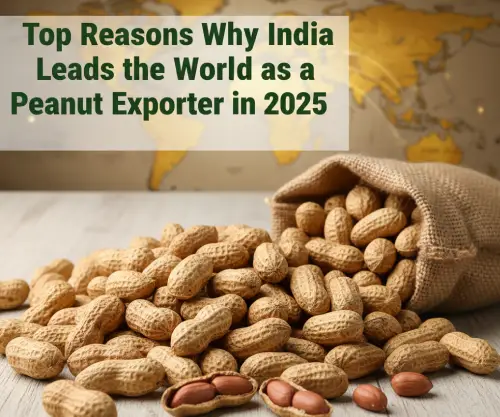 Top Reasons Why India Leads the World as a Peanut Exporter in 2025